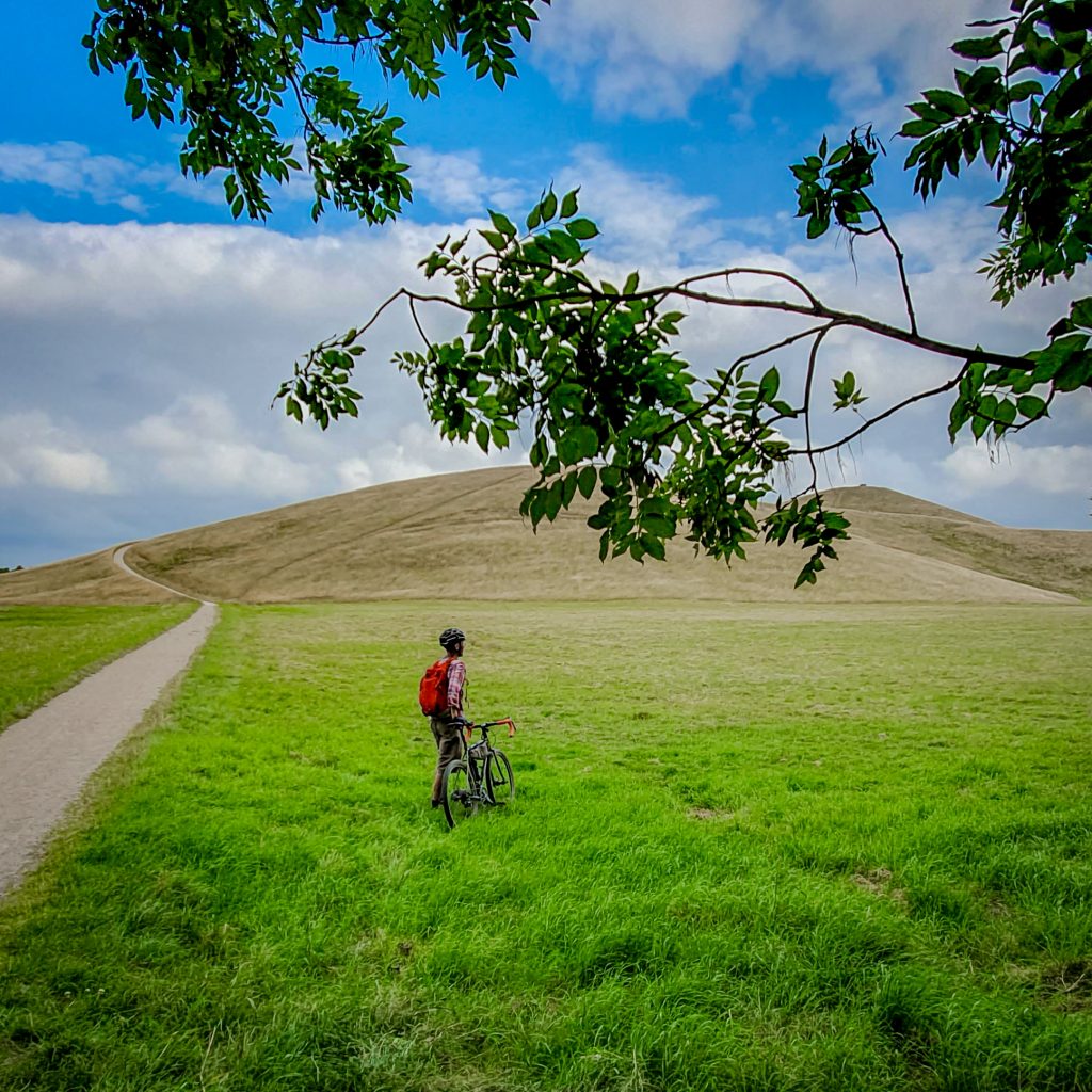 Cycling in Copenhagen