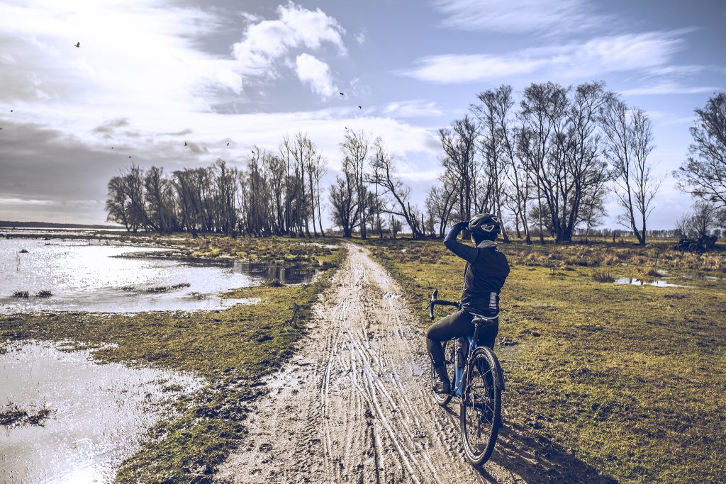 Cycling in Copenhagen